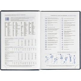 Ежедневник датированный 2026, синий, А5, 148x218 мм, 352 стр,АТТАСНЕ Agenda
