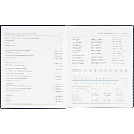 Еженедельник датированный 2026 год Attache Agenda искусственная кожа А4 80 листов синий