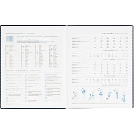 Еженедельник датированный 2026 год Attache Agenda искусственная кожа А4 80 листов синий