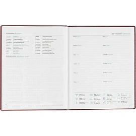 Еженедельник датированный 2026, бордо,А4, 213х265 мм,160 стр,Agenda