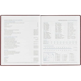 Еженедельник датированный 2026, бордо,А4, 213х265 мм,160 стр,Agenda