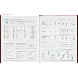 Еженедельник датированный 2026, бордо,А4, 213х265 мм,160 стр,Agenda