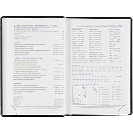 Ежедневник датированный 2026, черный,А6, 100х150 мм,336 стр,Agenda фото Ежедневник датированный 2026, черный,А6, 100х150 мм,336 стр,Agenda