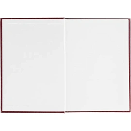 Ежедневник датированный 2026 год Выбор есть бумвинил А5 160 листов бордовый