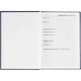 Ежедневник датированный 2026 Выбор есть, А5, 160л, бумвинил, синий