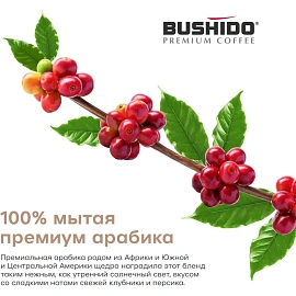 Кофе в зёрнах Bushido Sensei арабика 100% 1 кг (пакет)