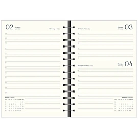 Ежедневник датированный 2026 IF 14х20см 160л, на спир Universe I1753/black