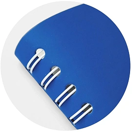 Ежедневник датированный 2026 год InFolio Basic искусственная кожа А5 160 листов синий, I1751emb/blue