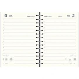 Ежедневник датированный 2026 год InFolio Basic искусственная кожа А5 160 листов синий, I1751emb/blue