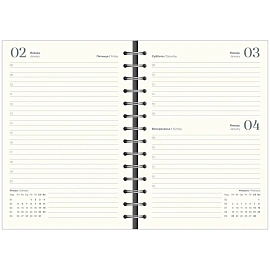 Ежедневник датированный 2026 год InFolio Basic искусственная кожа А5 160 листов синий, I1751emb/blue