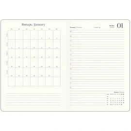 Ежедневник датированный 2026 IF 14х20см 176л, мягк Success I1719/wh-beige
