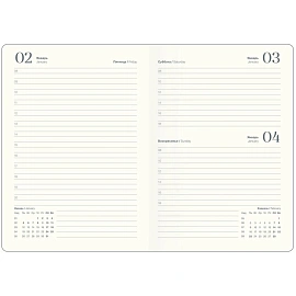 Ежедневник датированный 2026 IF 14х20см 176л, мягк Success I1719/wh-beige