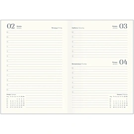 Ежедневник датированный 2026 год InFolio Happiness искусственная кожа А5 176 листов, I1732/blue