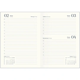 Ежедневник датированный 2026 IF 14х20см 176л, мягкий, Nightfall I1736/light