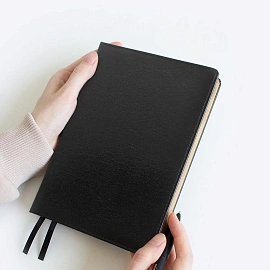 Ежедневник датированный 2026 год InFolio Britannia натуральная кожа А5 176 листов чёрный (золотистый обрез), I1710/black