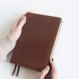 Ежедневник датированный 2026 IF 14х20см 176л, тверд Britannia I1710/brown