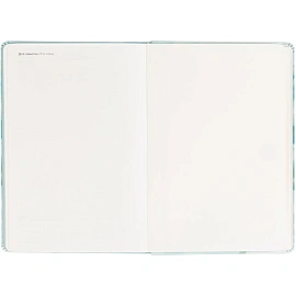 Ежедневник недатированный IF 14х20см 160л, интегр, Petals I1861/flower