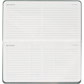 Еженедельник датированный 2026 год InFolio Universe искусственная кожа А6 64 листа мятный, I1840emb/mint