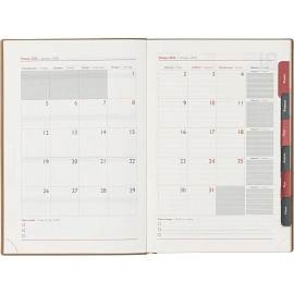 Ежедневник датированный 2026 ESCALADA А5 (146x211мм), 176л, бежевый 70270