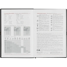 Ежедневник датированный 2026 год Escalada искусственная кожа А5 176 листов чёрный (чёрный обрез), 70273