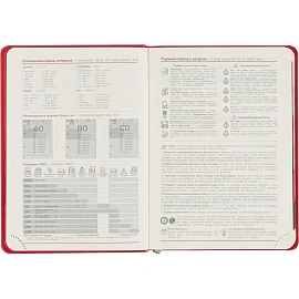 Ежедневник датированный 2026 ESCALADA А6+ (126x174мм), 176л, красный 70293
