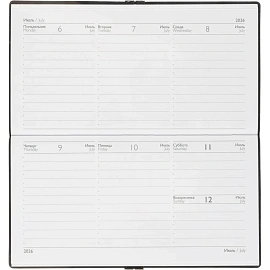 Еженедельник датированный 2026 ESCALADA 175х95мм, 64л, черный 70392