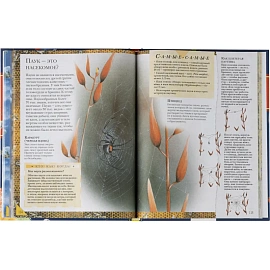 Энциклопедия Росмэн Книга вопросов и ответов (школьная возрастная категория)