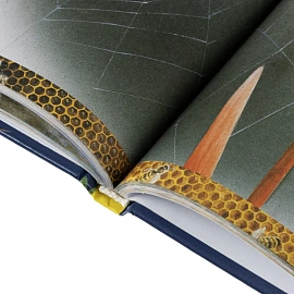 Энциклопедия Росмэн Книга вопросов и ответов (школьная возрастная категория)