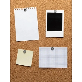 Кнопки канцелярские Globus, 12мм, 100шт., карт. упаковка  Цена за 1 карт.упаковку