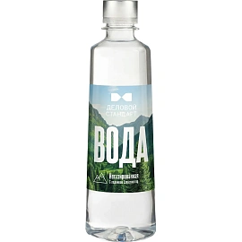 Вода минеральная Деловой Стандарт природная столовая негаз., 0,45 л., ПЭТ
