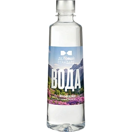 Вода минеральная Деловой Стандарт природная столовая негаз., 0,45 л., ПЭТ