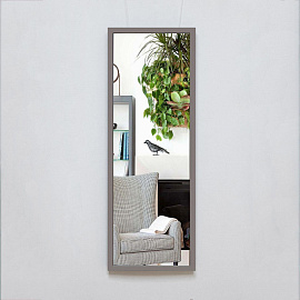Зеркало настенное Комус Мебель (тёмно-серый, 340х940 мм)