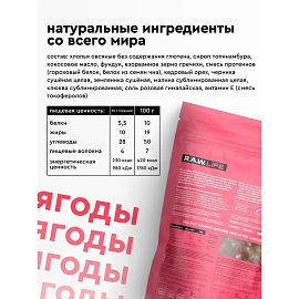 Гранола протеиновая R.A.W.Life ягоды 220 г