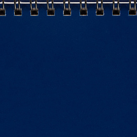 Планинг датированный 2026, Выбор есть, 130x305, 64л, бумвинил синий