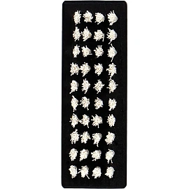 Щётка для обуви корпус чёрный 8.9x3 см (50500)