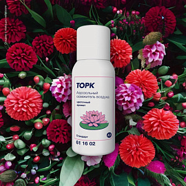 Баллон сменный для автоматического освежителя Торк Стандарт A1 100 мл (611602)