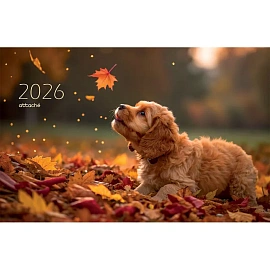 Календарь настенный 3-х блочный 2026 Щенок 30.5x67.5 см