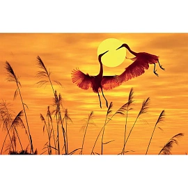 Календарь настенный 3-х блочный 2026 Журавли 30.5x67.5 см