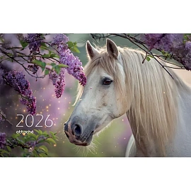 Календарь настенный 3-х блочный 2026 Attache, 305х675, Белая лошадь, 80г