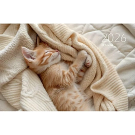 Календарь настенный 3-х блочный 2026 Котёнок 30.5x67.5 см