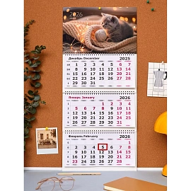 Календарь настенный 3-х блочный 2026 Трио Стандарт,305х675,Рыж. Джентельмен
