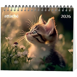 Календарь-домик настольный 2026 Atache, Котенок, 120х110 фото Календарь-домик настольный 2026 Atache, Котенок, 120х110