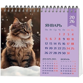 Календарь-домик настольный 2026 Atache, Котенок, 120х110 фото Календарь-домик настольный 2026 Atache, Котенок, 120х110