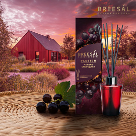 Аромадиффузор Breesal Passion Чёрная смородина 70 мл