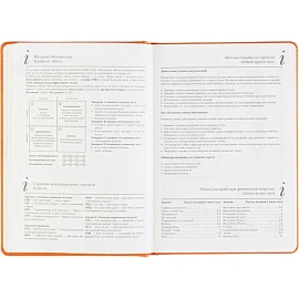 Ежедневник недатированный Bruno Visconti Classic искусственная кожа А5 128 листов оранжевый