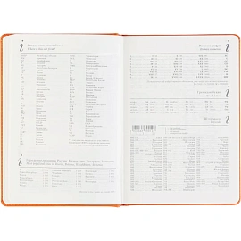 Ежедневник недатированный Bruno Visconti Classic искусственная кожа А5 128 листов оранжевый