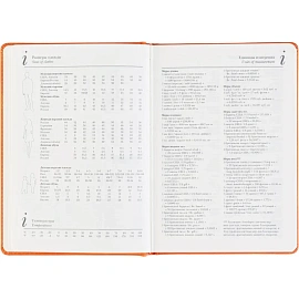 Ежедневник недатированный Bruno Visconti Classic искусственная кожа А5 128 листов оранжевый