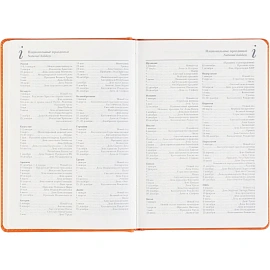 Ежедневник недатированный Bruno Visconti Classic искусственная кожа А5 128 листов оранжевый