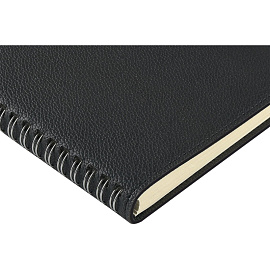 Ежедневник недатированный Bruno Visconti Alba искусственная кожа А5 136 листов чёрный, 3-783/01