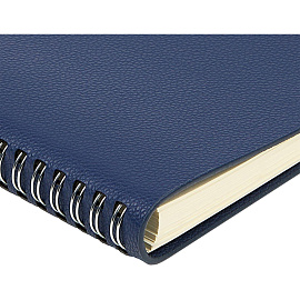 Ежедневник недатированный Bruno Visconti Alba искусственная кожа А5 136 листов синий, 3-783/03